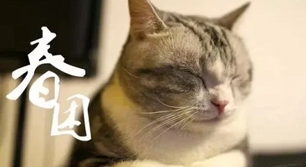 人在春天为什么容易犯困?