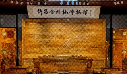 为什么金丝楠木树苗10元棵,却没人种?