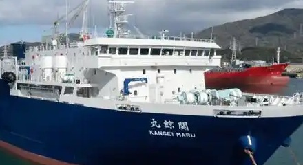 日本的船只为什么总要叫个什么「丸」?