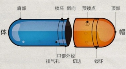 为啥胶囊外壳大多是两种颜色?