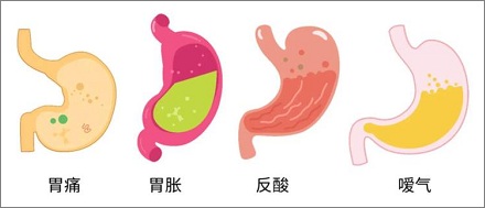 男性 vs. 女性:谁的消化能力更强?