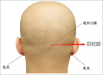 枪毙死刑犯到底是打关还是打心脏啊?