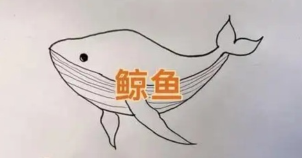 「一鲸尿,万物生」,这是真的吗?
