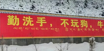 川西为啥不让玩狗？