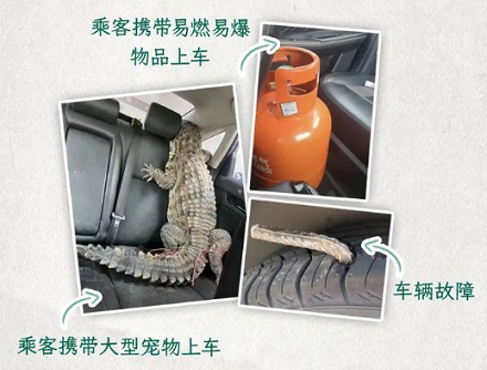 网约车司机为啥要问你四只蛤蟆几条腿,答错了还不让上车?