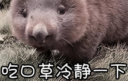 食肉动物为何突然「吃素」?