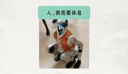 机器人的充电姿势为什么都是「亚洲蹲」?