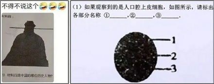 为啥考试试卷上的图片都印得那么糊?