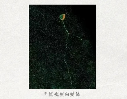 老楼房的蓝色玻璃窗，为什么会让人觉得害怕？