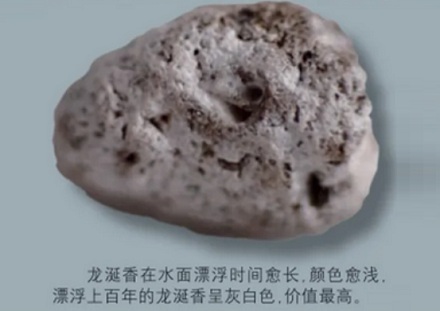 为什么只有鲸鱼拉出来的屎才叫龙涎香,而人工取出来的就很臭?