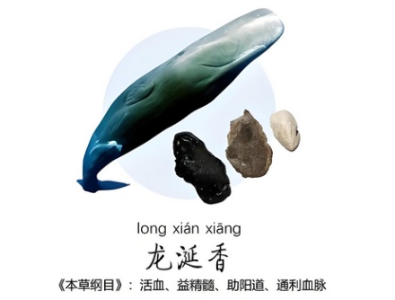 为什么只有鲸鱼拉出来的屎才叫龙涎香,而人工取出来的就很臭?