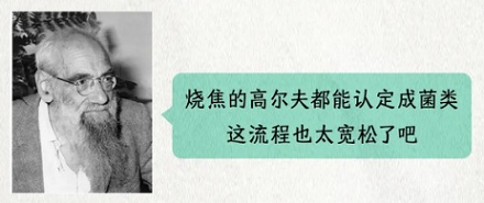 蘑菇博物馆展出的藏品里为啥会有高尔夫球?