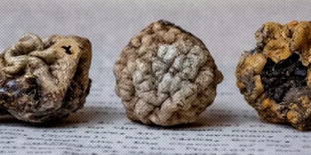蘑菇博物馆展出的藏品里为啥会有高尔夫球？