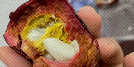 剥开的山竹里有「黄色粑粑」还能吃吗？