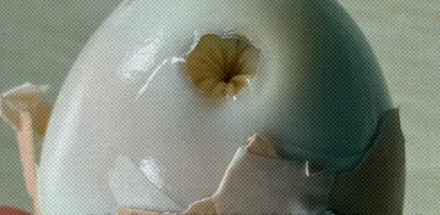 为啥煮熟的鸡蛋里会出现肛门形状的小孔?