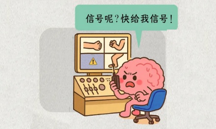 为啥截肢后,不存在的部分还会幻痛?