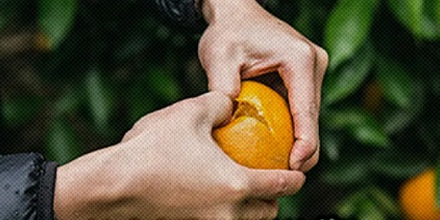 在夏天的阳光下剥橙子，为什么是作死？