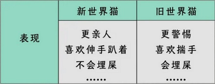 旧世界猫和新世界猫是什么东西？有什么区别？