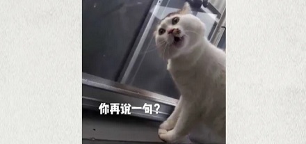 为什么游泳的时候也没喝水,但就会想尿尿?