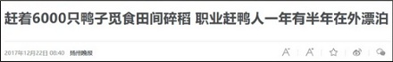 扛着竹帐篷、带着一群鸭子上山下河的到底是什么人?