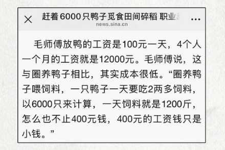扛着竹帐篷、带着一群鸭子上山下河的到底是什么人?