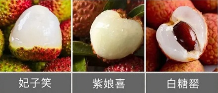 果肉乳白色的真的就是「死荔枝」吗？