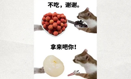 果肉乳白色的真的就是「死荔枝」吗？