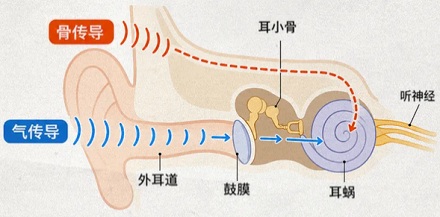 为什么侧睡时耳朵总是「怦怦怦」地跳？