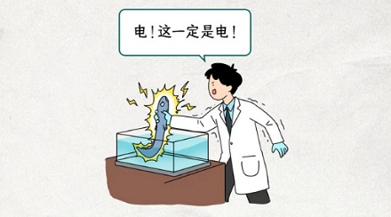 在电被发明之前，电鳗叫什么？