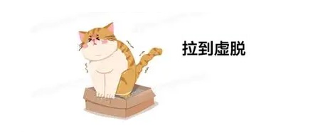 一开电热毯就便秘，是肚子里的屎被烤干了吗？