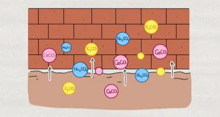 为什么冬天砖墙上会长出白色的「霜粉」？