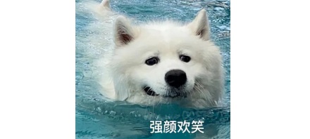 为什么芬兰人喜欢在蒸完桑拿后跳冰湖？