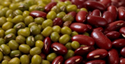 为什么说「红豆配相思」，而绿豆却只能「配王八」？