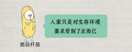 为啥有细菌叫「懒惰狡诈菌」？有多懒惰狡诈？