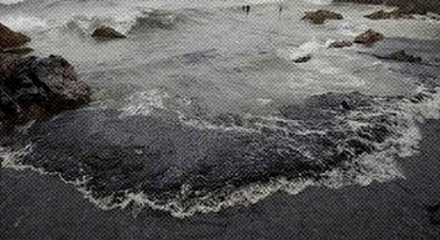石油泄漏了，政府为什么要急着收集头发呀？