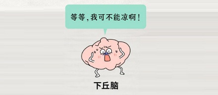 为什么游完泳饿得能吃下两头牛，跑步后却毫无食欲？