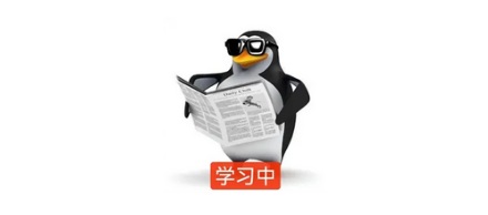 为什么海蛞蝓是 AI 的「导师」？