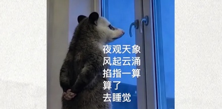 为什么说北极星被「掉包」过？