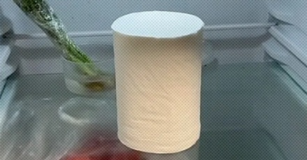 老外为什么要把厕纸放进冰箱？