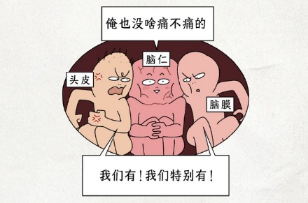 大脑明明没有痛觉，为什么会感到头痛欲裂？
