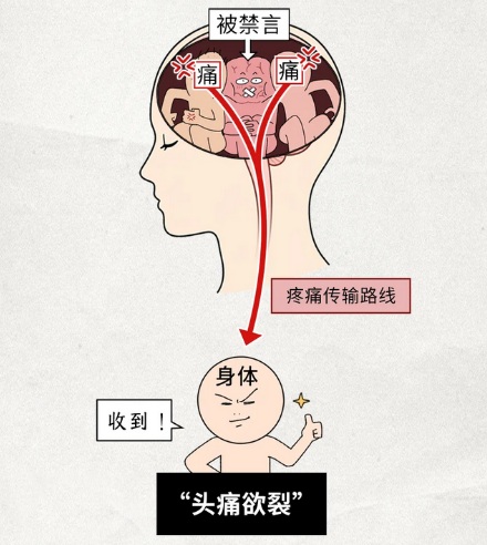 大脑明明没有痛觉，为什么会感到头痛欲裂？