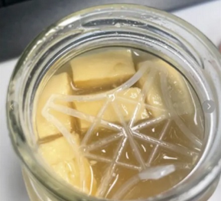 为什么豆腐乳的标签上会写着「内含定位器」？