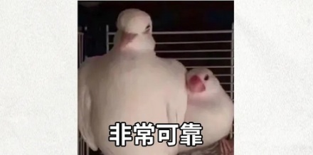 为什么高压线那么危险，却不用绝缘外皮包起来？