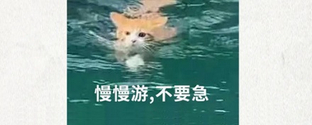 海里求生为什么要找有云的地方？