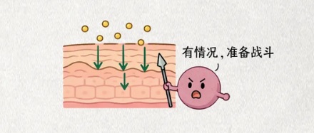为什么金属过敏的人，只对金子不过敏？
