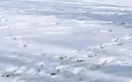 为什么滑雪比赛会怕下雪？