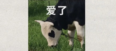 为什么吉林的农场要去内蒙给玉米地「招牛羊」？