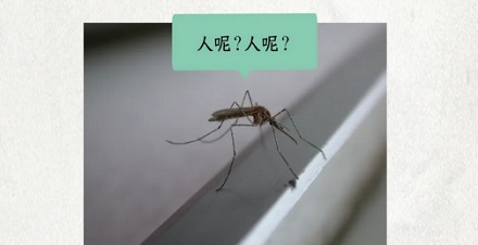 为什么夏天空调一开，蚊子好像就不咬人了？