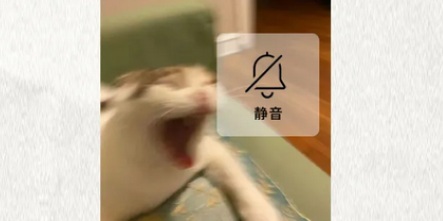 为什么有些马拉松运动员要拔掉自己的脚指甲？