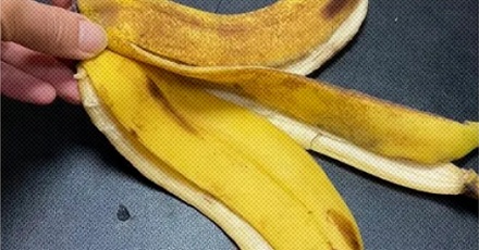 为什么皮肤痒，用香蕉皮擦擦可以缓解？